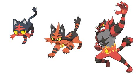 litten evolution level|melhor nature para litten.